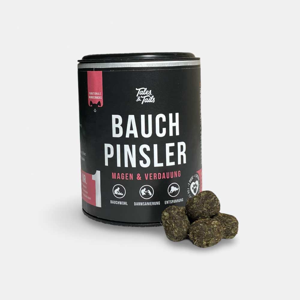 Bauchpinsler