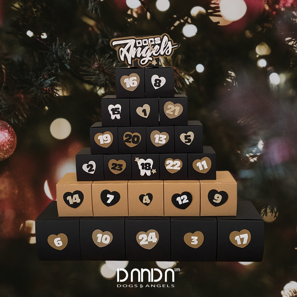 Adventskalender
