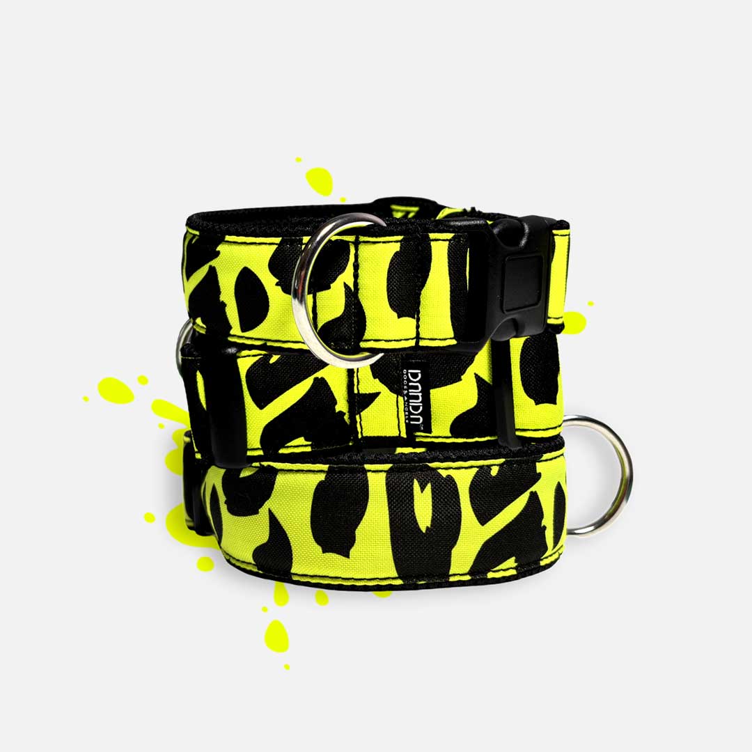 Neon Vibes